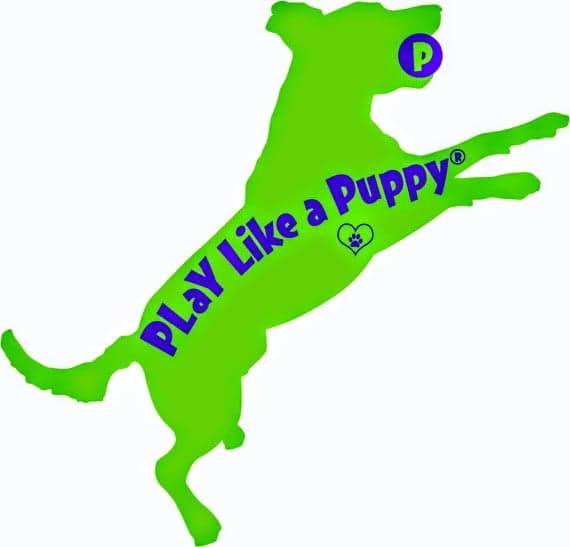 Estate Planning for Pet Owners and COVID-19 Advice for Owners of Pet-Related Businesses, PLaY Like a Puppy podcast, 5.25.20